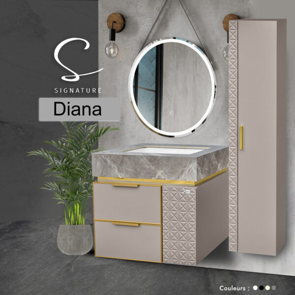 Meuble Salle de Bain PVC "Diana" avec Colonne